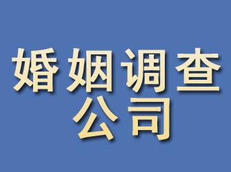 电白婚姻调查公司